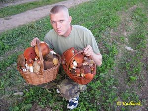 Klikni pro velký obrázek