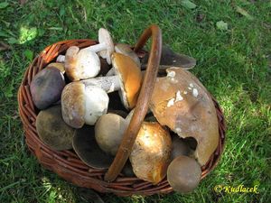 Klikni pro velký obrázek