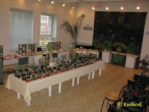 Klikni pro velký obrázek