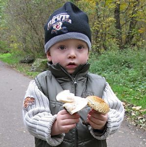 Klikni pro velký obrázek