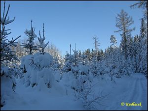 Klikni pro velký obrázek