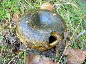 Klikni pro velký obrázek