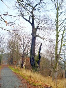 Klikni pro velký obrázek