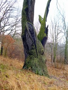 Klikni pro velký obrázek