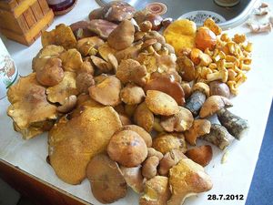 Klikni pro velký obrázek