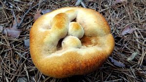 Klikni pro velký obrázek