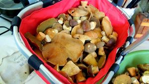 Klikni pro velký obrázek