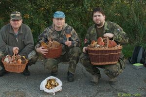 Klikni pro velký obrázek