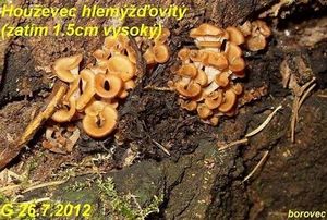 Klikni pro velký obrázek