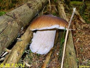 Klikni pro velký obrázek