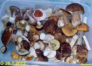 Klikni pro velký obrázek