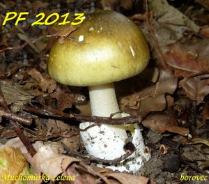 Klikni pro velký obrázek