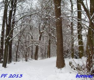 Klikni pro velký obrázek