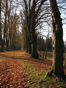 Klikni pro velký obrázek