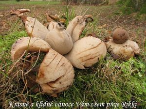 Klikni pro velký obrázek