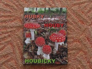 Klikni pro velký obrázek