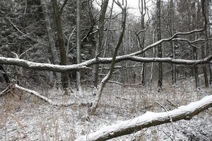 Klikni pro velký obrázek