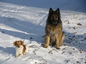 Klikni pro velký obrázek