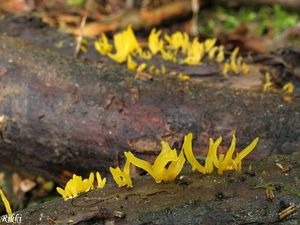 Klikni pro velký obrázek