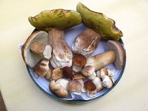 Klikni pro velký obrázek