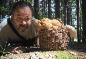 Klikni pro velký obrázek